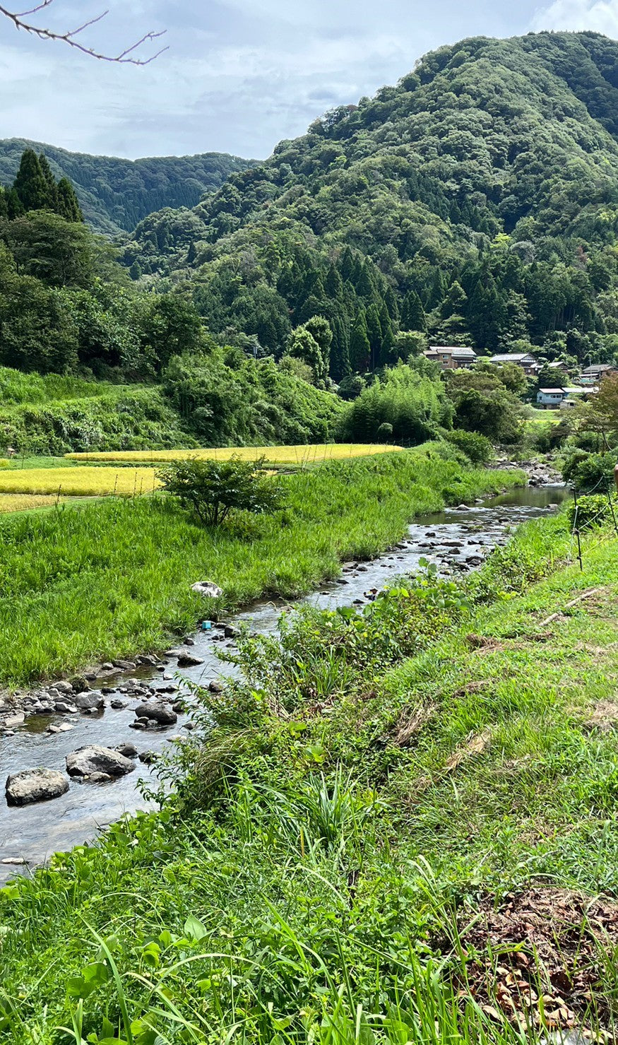 <京丹後産コシヒカリ>田渕さんちのおいしいお米(2合×6)