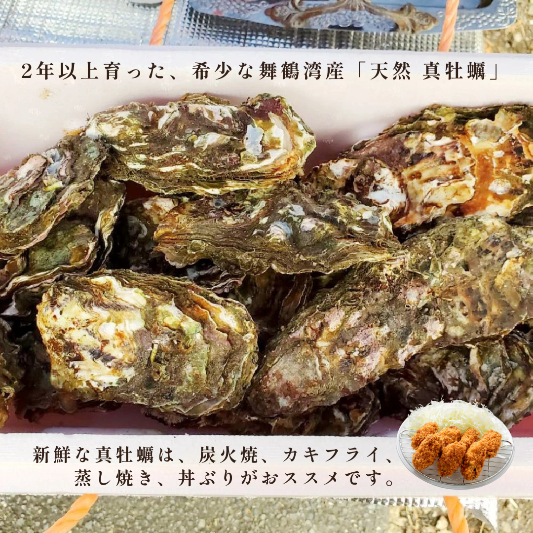 【送料無料】舞鶴湾産 天然 真牡蠣 20個入(加熱用)|2年以上育った希少な大粒牡蠣 ※予約商品