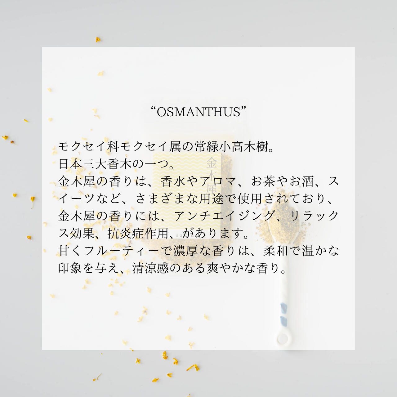 【FERAL】金木犀・黒文字 saltus スパイス