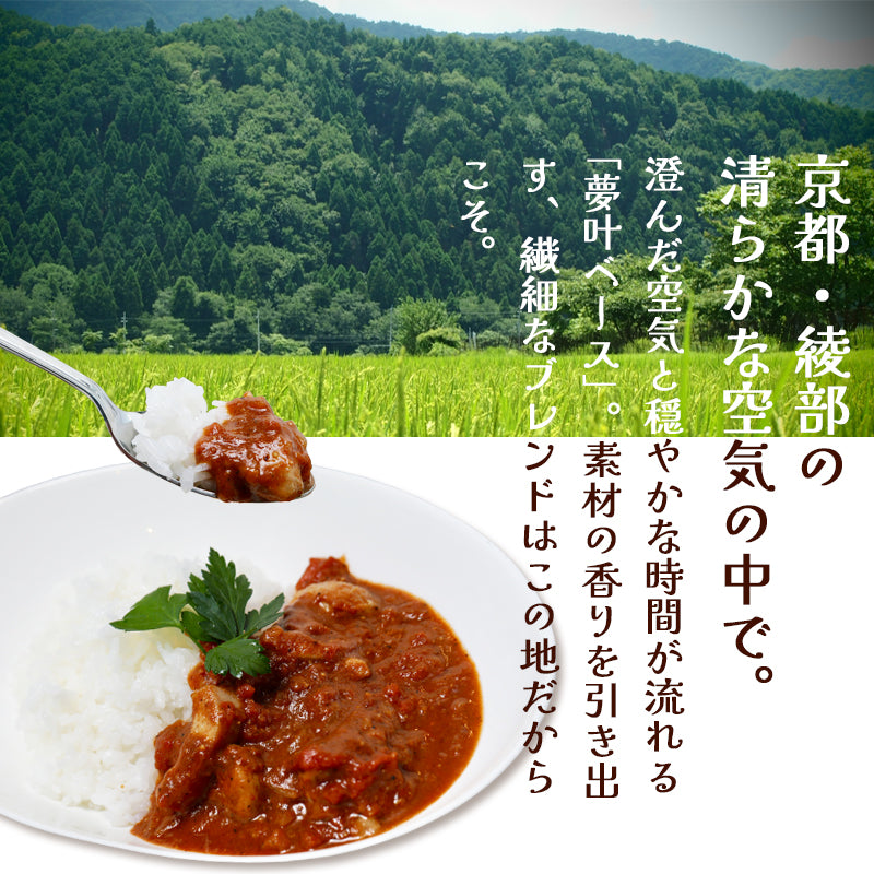 チキンカレースパイス【辛口】4人前×2袋、4袋、6袋、8袋