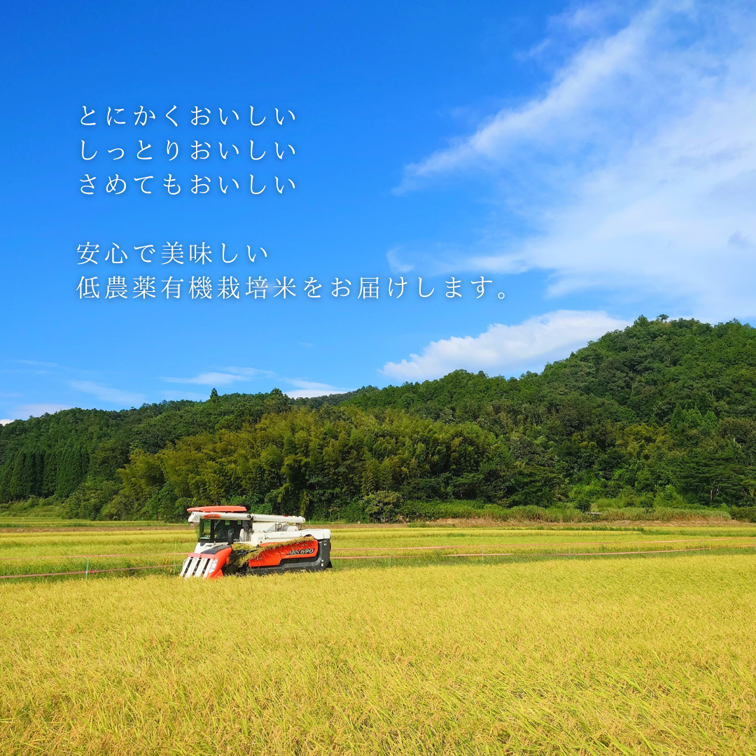【送料無料】京都綾部産 新米コシヒカリ5kg 10kg|令和7年産 低農薬有機栽培 白米 農家直送 予約販売