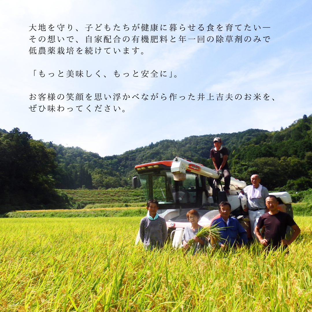 【送料無料】京都綾部産 新米コシヒカリ5kg 10kg|令和7年産 低農薬有機栽培 白米 農家直送 予約販売