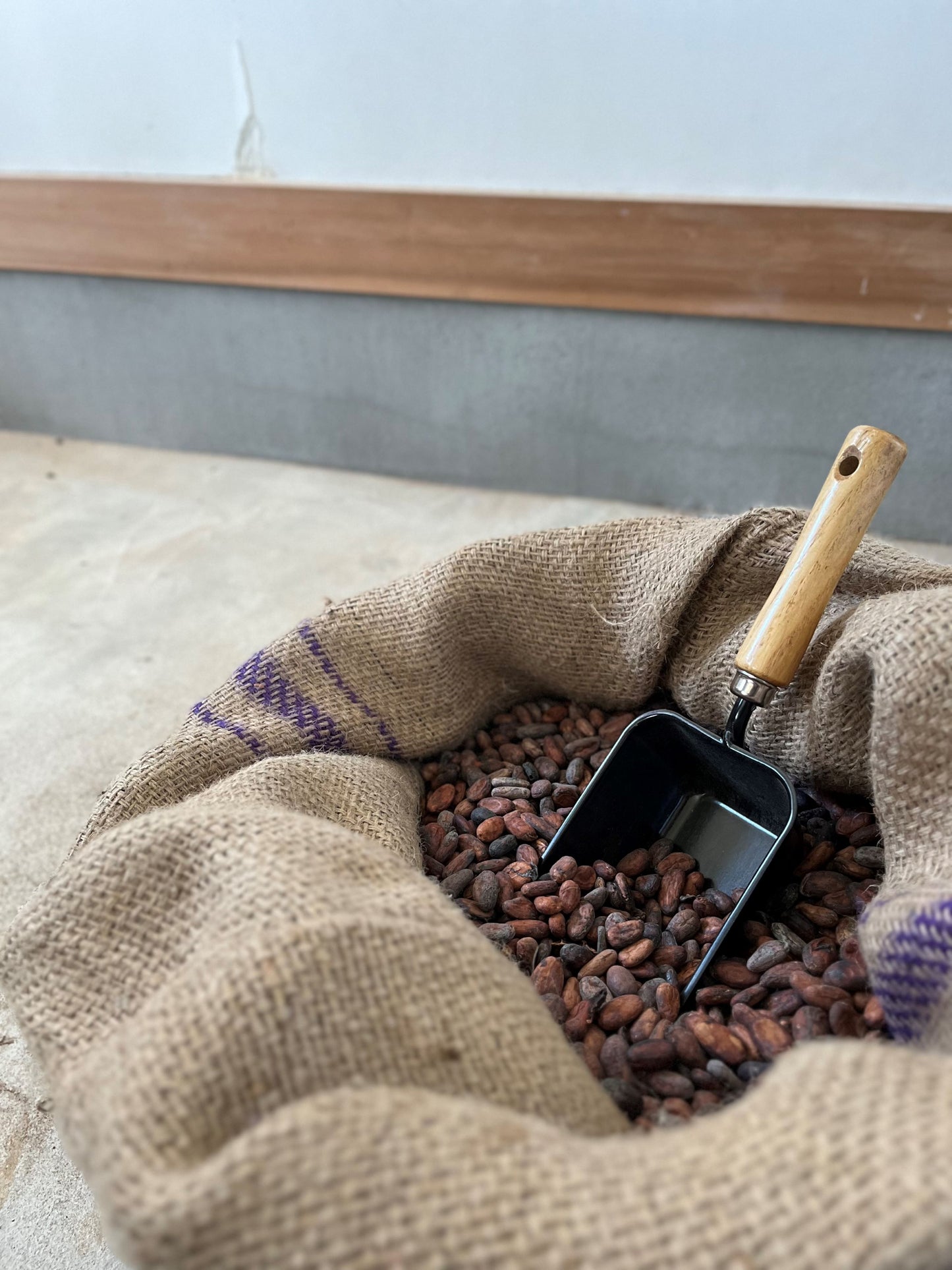 【送料無料】京丹後チョコレートセット 4種