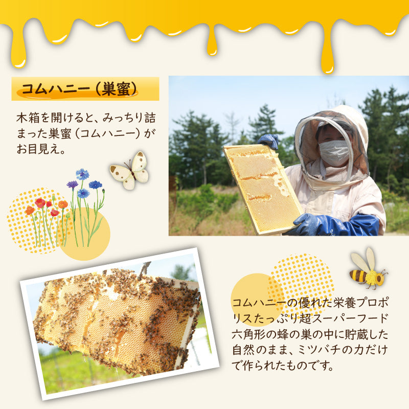 【送料無料】京都・丹後産 純粋ハチミツ 森の百花蜜(300g) 自家製蜂蜜