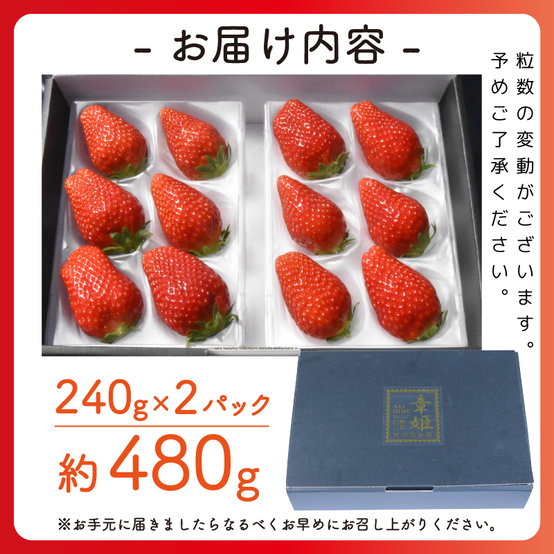 舞鶴産 大粒いちご 章姫【1月中旬から3月中旬発送】嵯峨根農園 産地直送