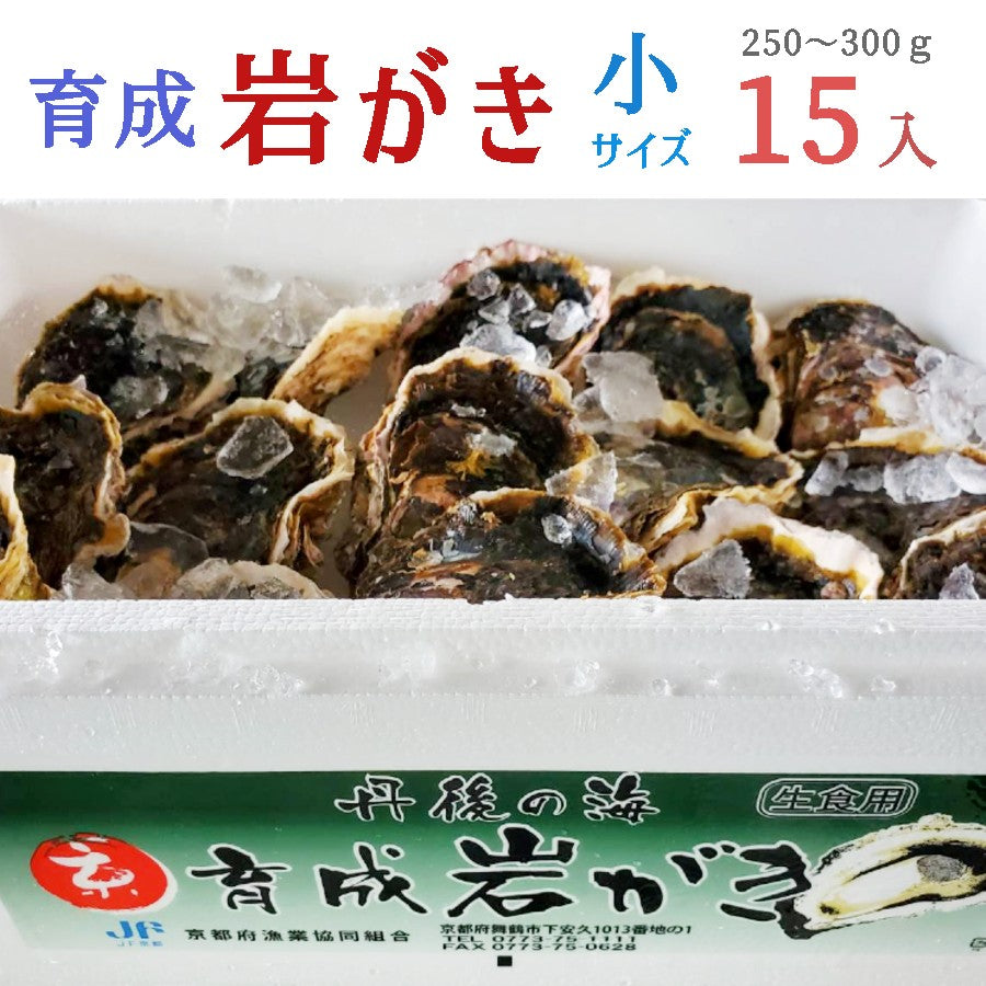 【送料無料】舞鶴産 育成・天然岩ガキ(小)250g~300g 15個入
