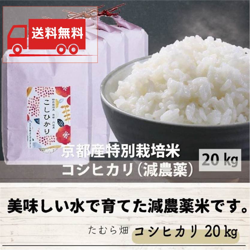 送料無料】新米 令和5年産 京都産特別栽培米コシヒカリ（減農薬）20kg