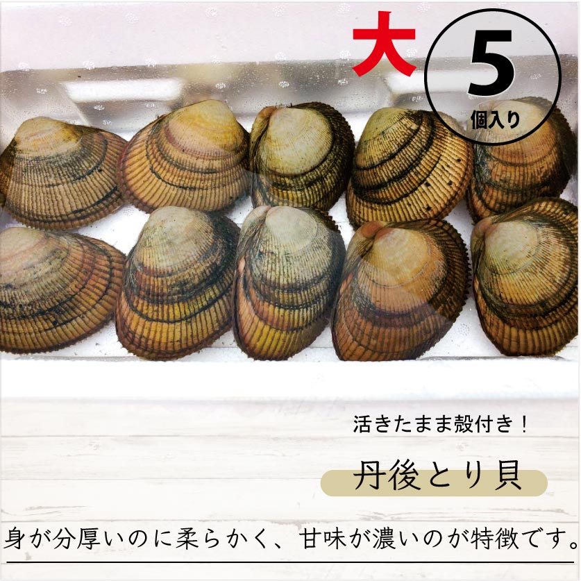 【期間限定】活きたまま殻付き 丹後とり貝(大)約150~169g 5入