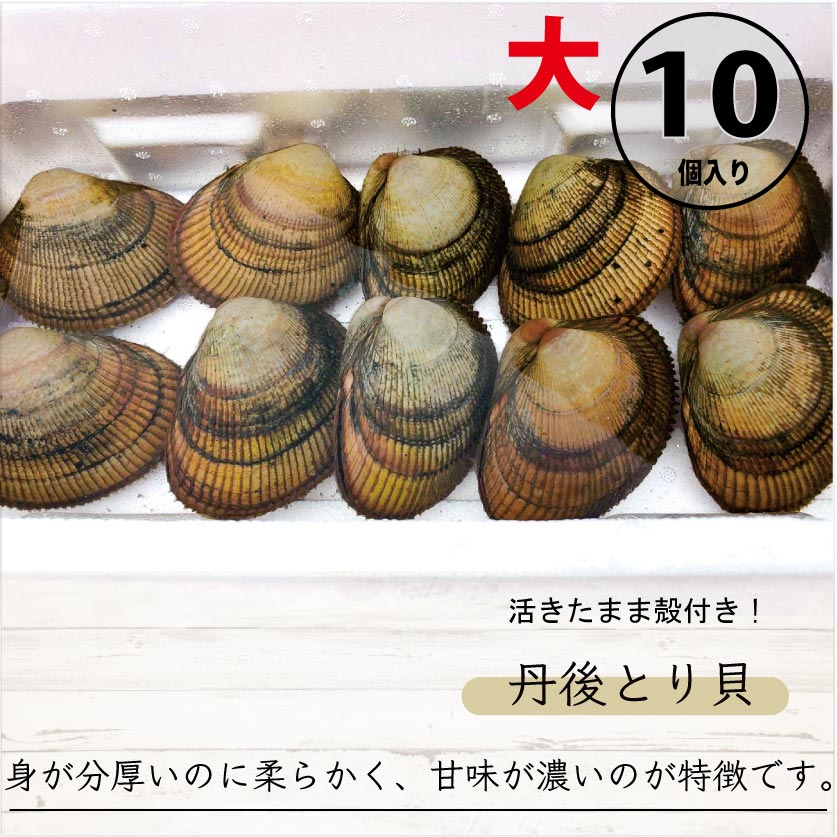 【期間限定】活きたまま殻付き 丹後とり貝(大)約150~169g 10入