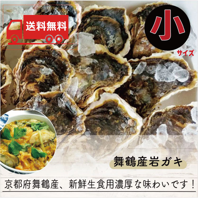 【送料無料】舞鶴産 育成・天然岩ガキ(小)250g~300g 15個入