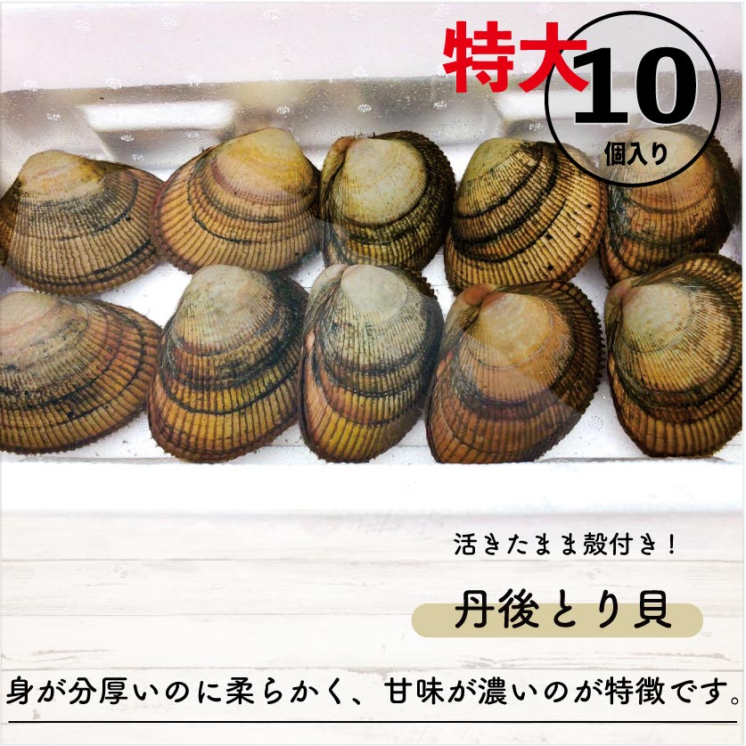【期間限定】活きたまま殻付き 丹後とり貝(特大)約170~190g 10入