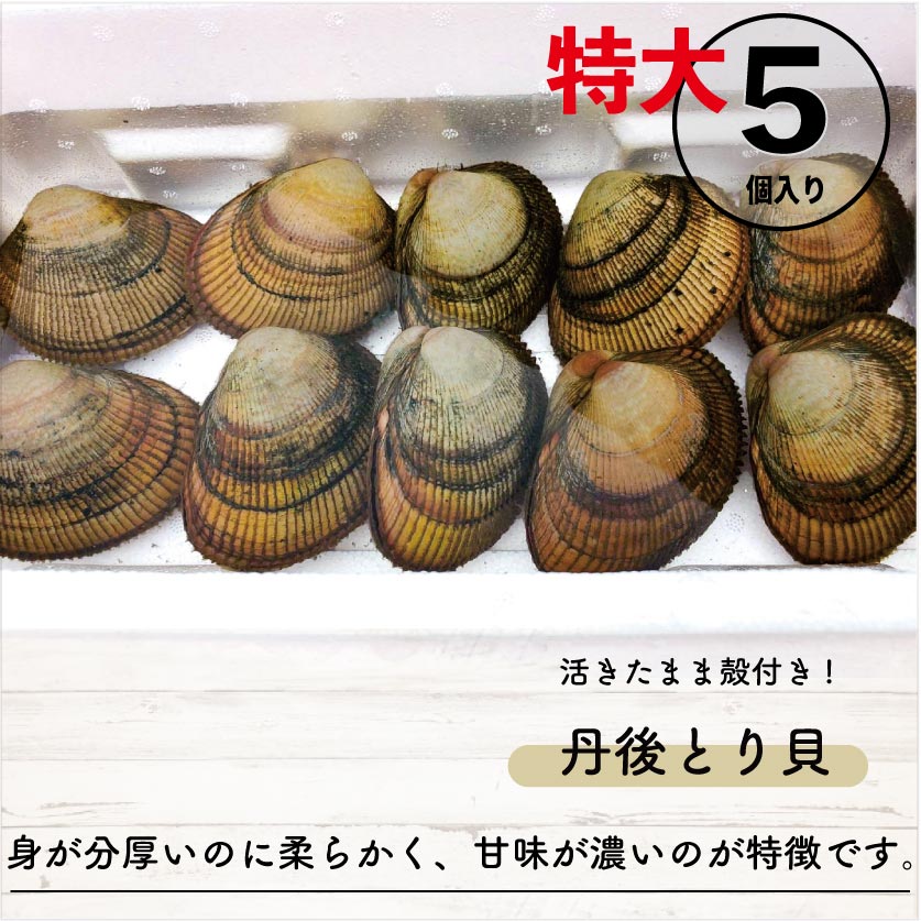 活きたまま殻付き 丹後とり貝(特大)約170~190g 5入