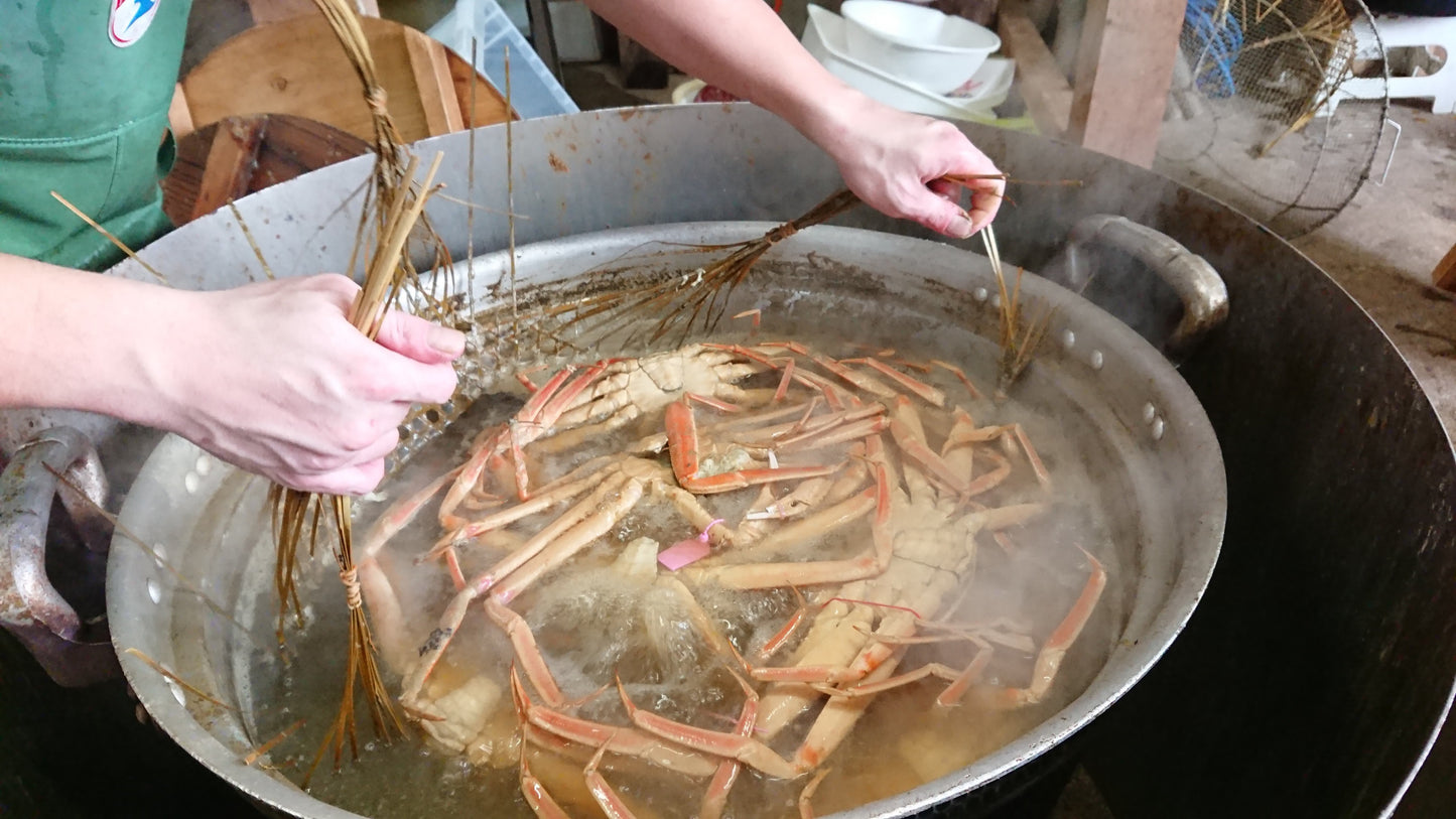 【送料無料】冬の旬松葉かに 京丹後の地元魚屋 特選茹で松葉かに 1200g以上1匹(橘商店)