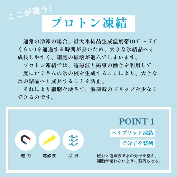 【送料無料】海の宝石 ちりめん海鮮丼 若狭産 本マグロ