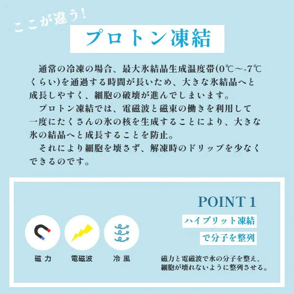 【送料無料】プロトン凍結 天然本まぐろ切り落とし 300g 解凍レシピ付