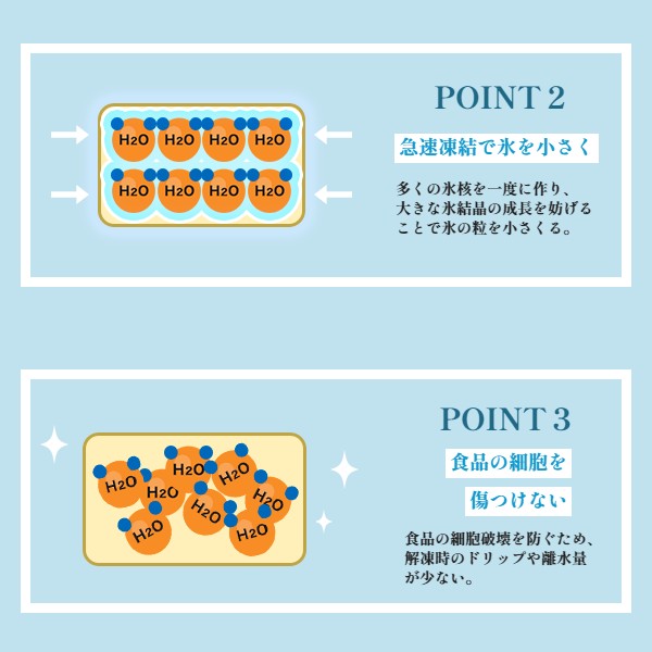 【送料無料】プロトン凍結 天然本まぐろ赤身&トロ身二種盛り 解凍レシピ付