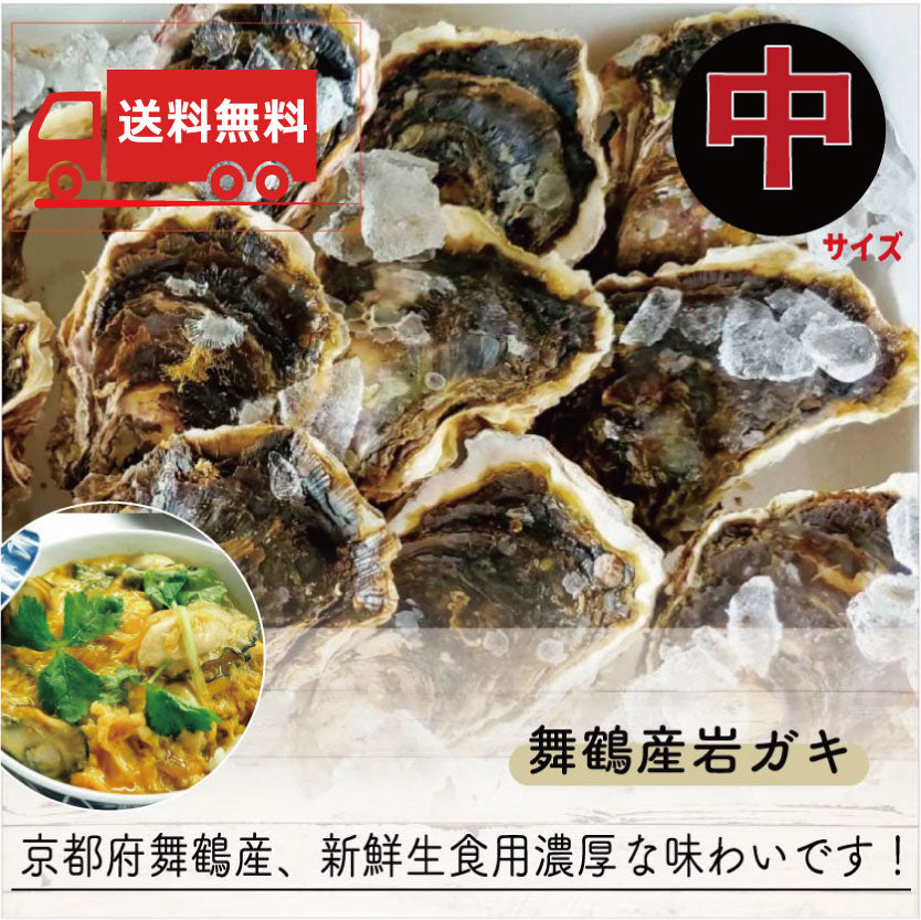 【送料無料】舞鶴産 育成&天然 岩牡蠣(岩ガキ)中サイズ 10個入り(300g~350g)お取り寄せ海鮮グルメ