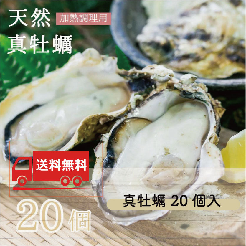 【送料無料】活 天然 真牡蠣 20個入 (加熱調理用)※予約商品