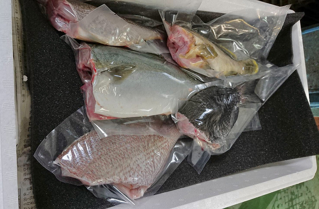 舞鶴の海の恵みセット(調理対応)