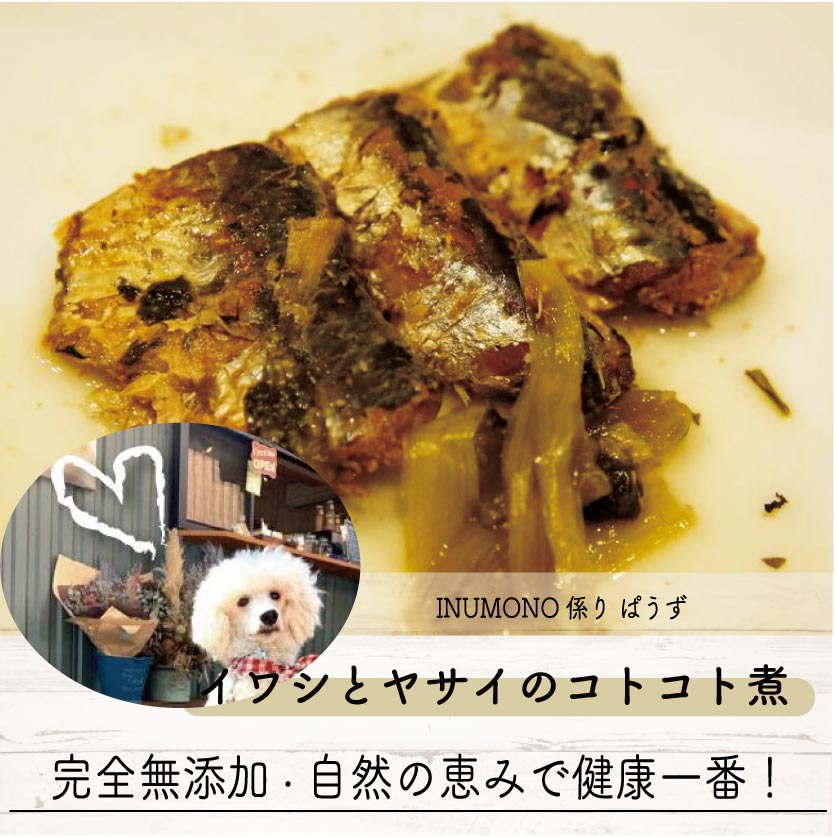 【ワンコ&ニャンコのご飯】イワシとヤサイのコトコト煮