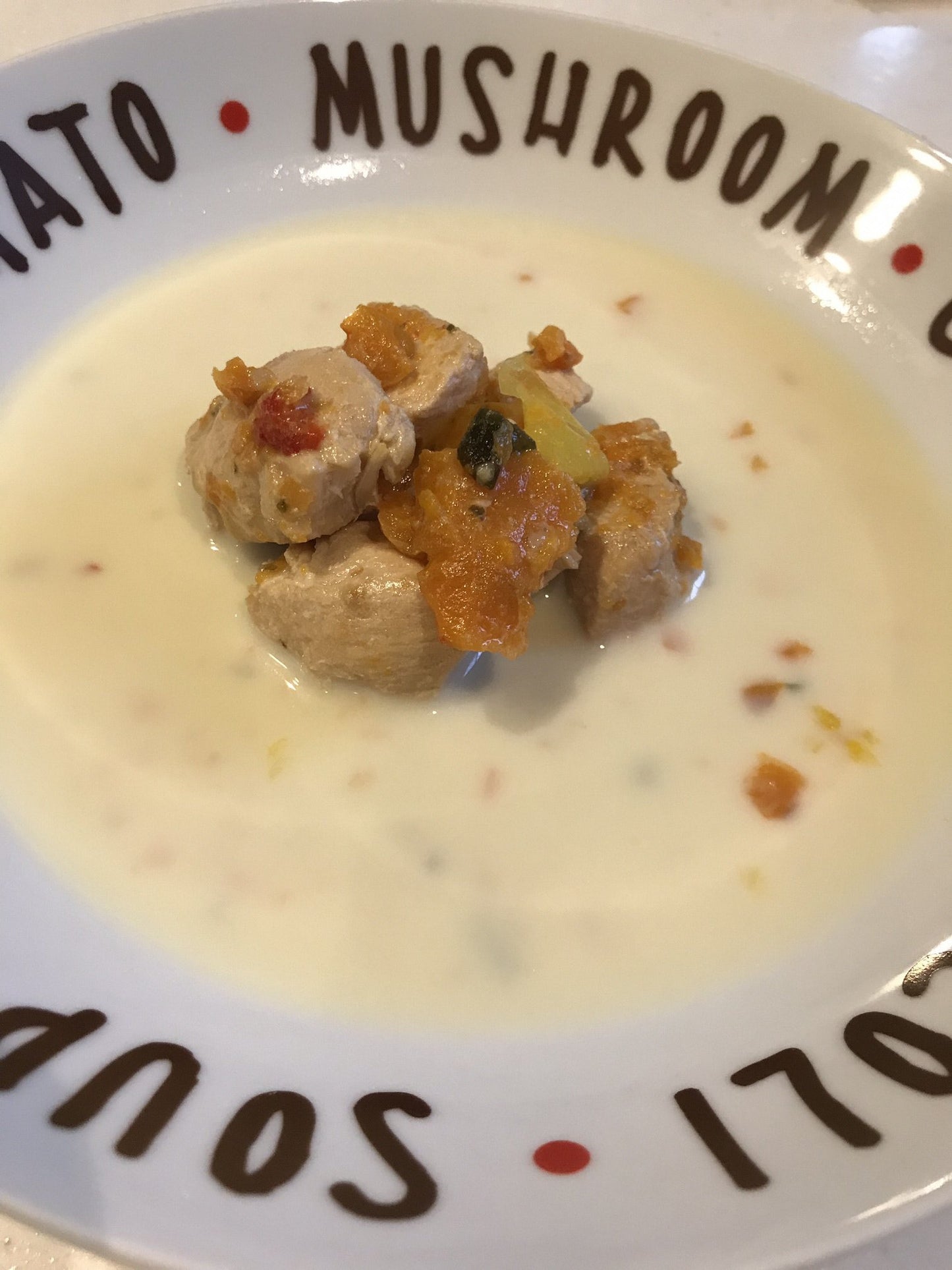 【ワンコ&ニャンコのご飯】鶏肉とお野菜たっぷり豆乳鍋