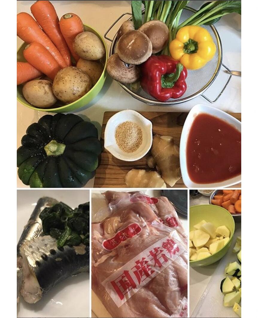 【ワンコ&ニャンコのご飯】鶏肉とお野菜たっぷり豆乳鍋