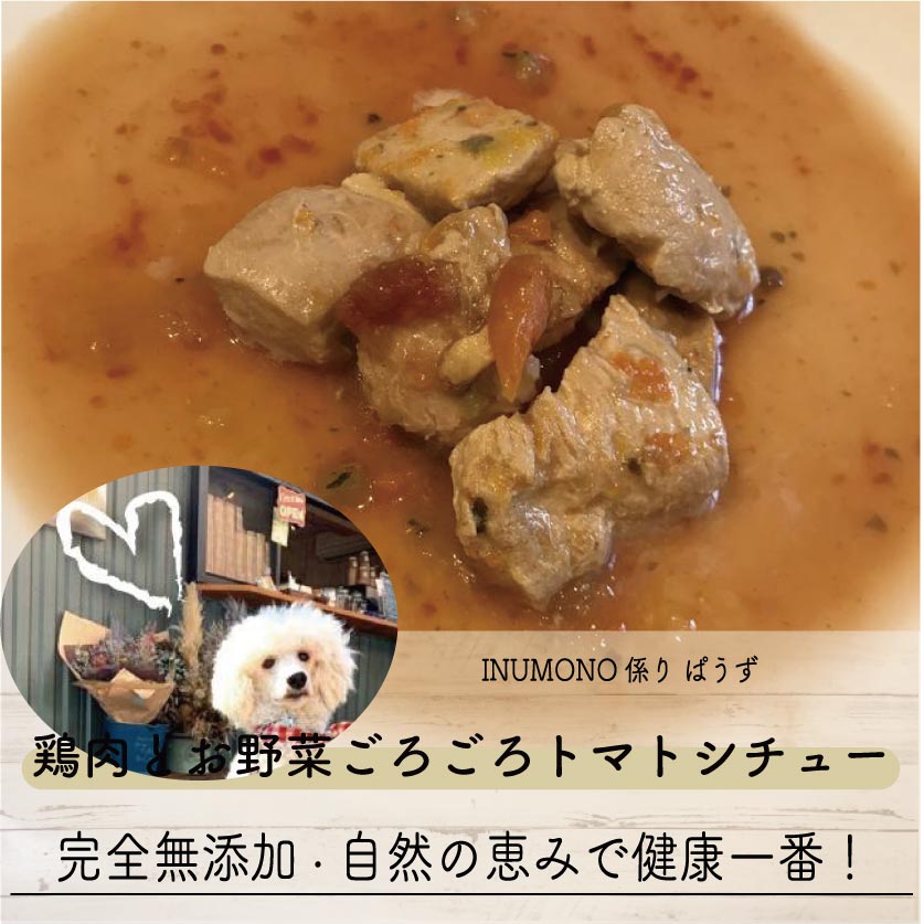 【ワンコ&ニャンコのご飯】鶏肉とお野菜ごろごろトマトシチュー