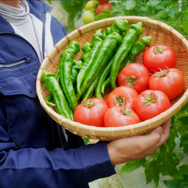 【送料無料】嵯峨根農園 野菜セット