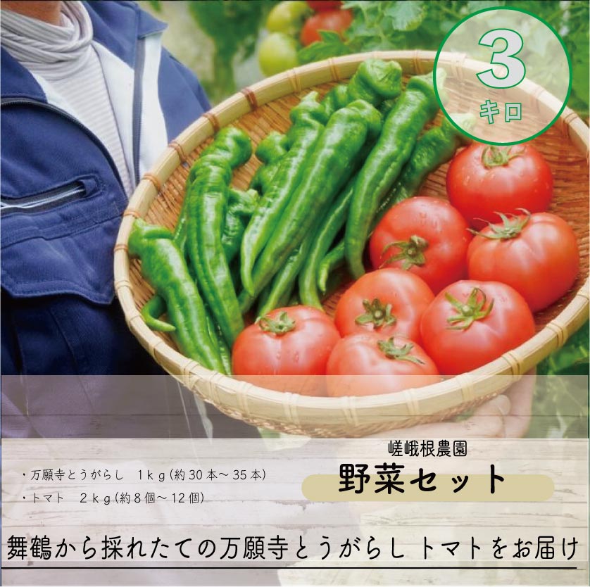 舞鶴産 万願寺とうがらし・トマトの野菜セット 嵯峨根農園 産地直送