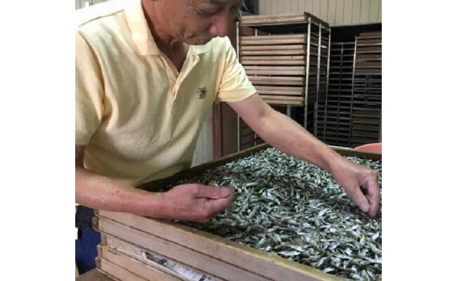 【送料無料】舞鶴産 煮干し 200g 4袋 セット