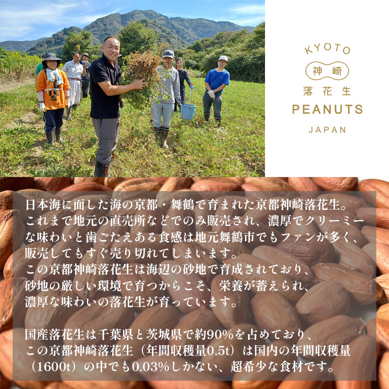 【送料無料】京都神崎落花生チーズケーキ