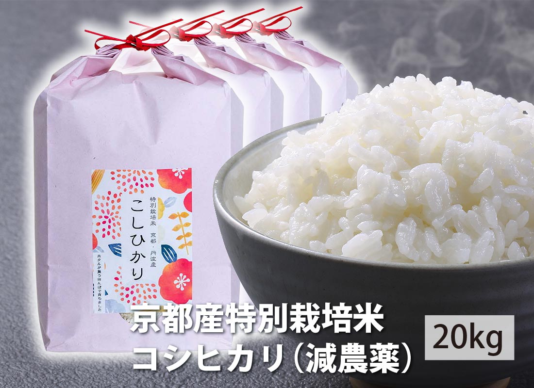 【送料無料】新米 令和5年産 京都産特別栽培米コシヒカリ(減農薬)20kg