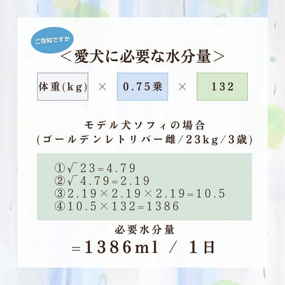 [無添加ウェットドッグフード] 国産鹿スープ (5パック)