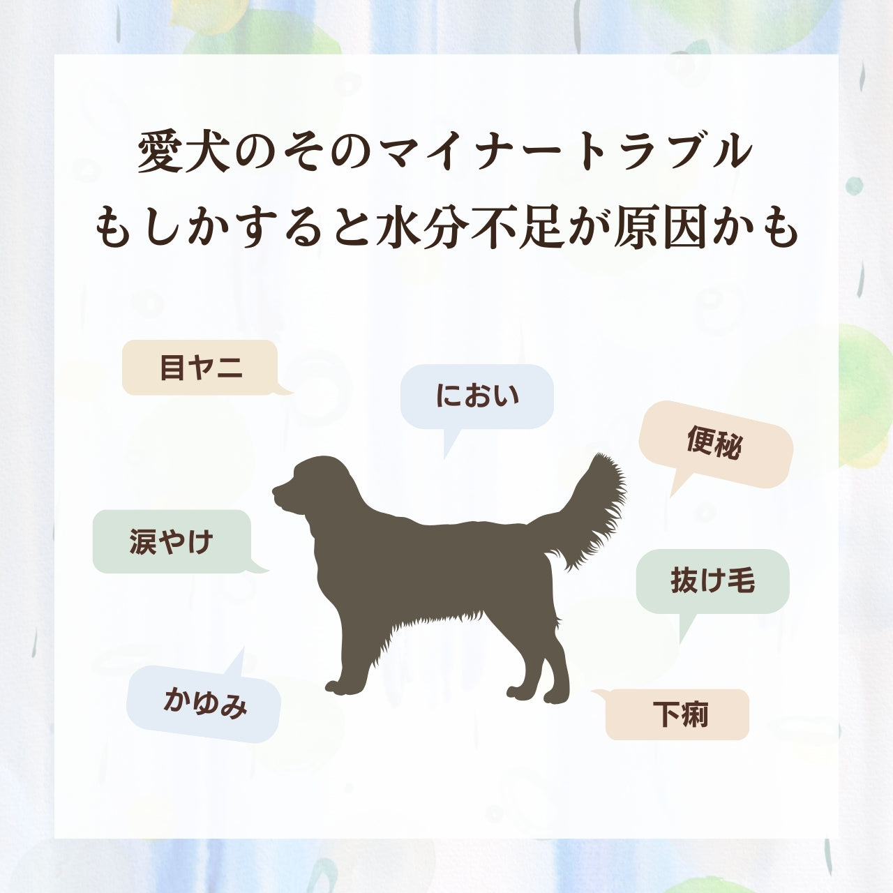 [無添加ウェットドッグフード] 国産鹿スープ (5パック)