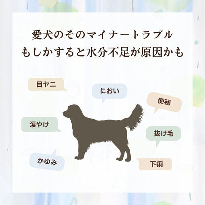 [無添加ウェットドッグフード] 国産鹿スープ (5パック)