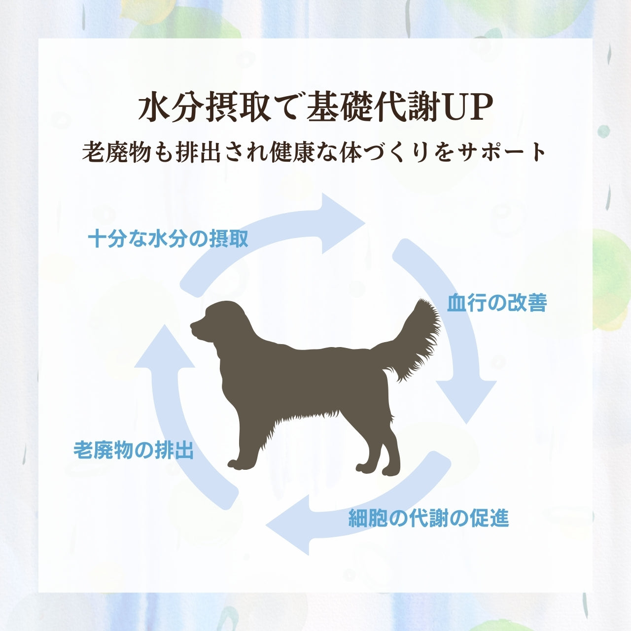 [無添加ウェットドッグフード] 国産鹿スープ (5パック)