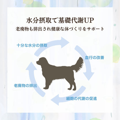 [無添加ウェットドッグフード] 国産鹿スープ (5パック)