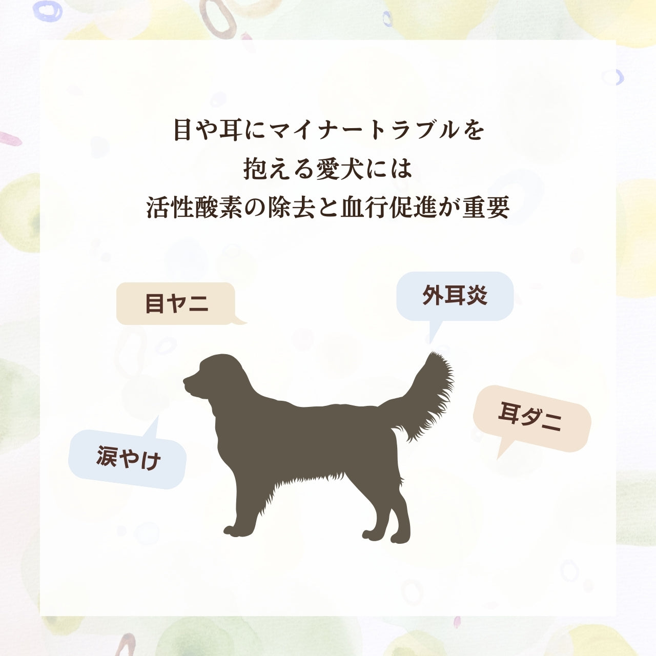 [無添加ウェットドッグフード] 目・耳ケアタイプ  (5パック)