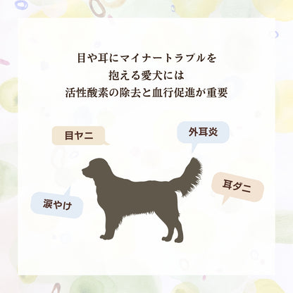 [無添加ウェットドッグフード] 目・耳ケアタイプ  (5パック)