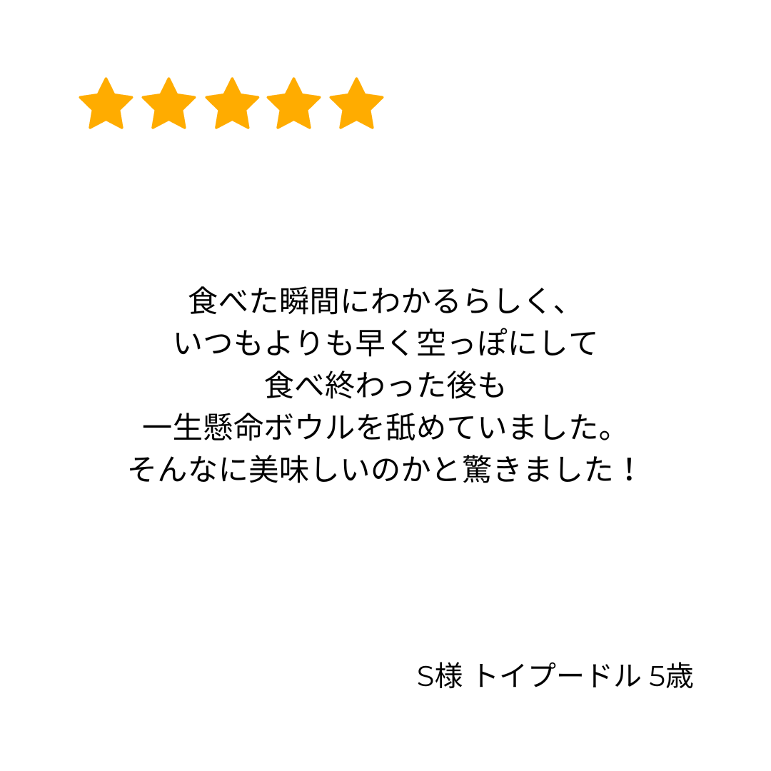 [無添加ウェットドッグフード] 目・耳ケアタイプ  (5パック)