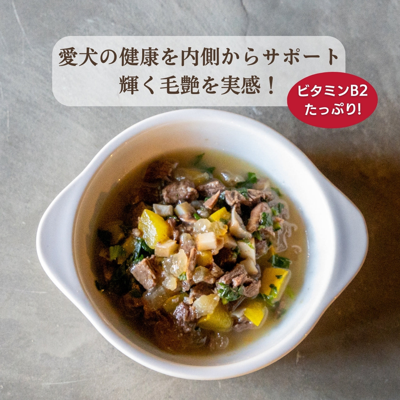 [無添加ウェットドッグフード] 皮膚ケアタイプ  (5パック)