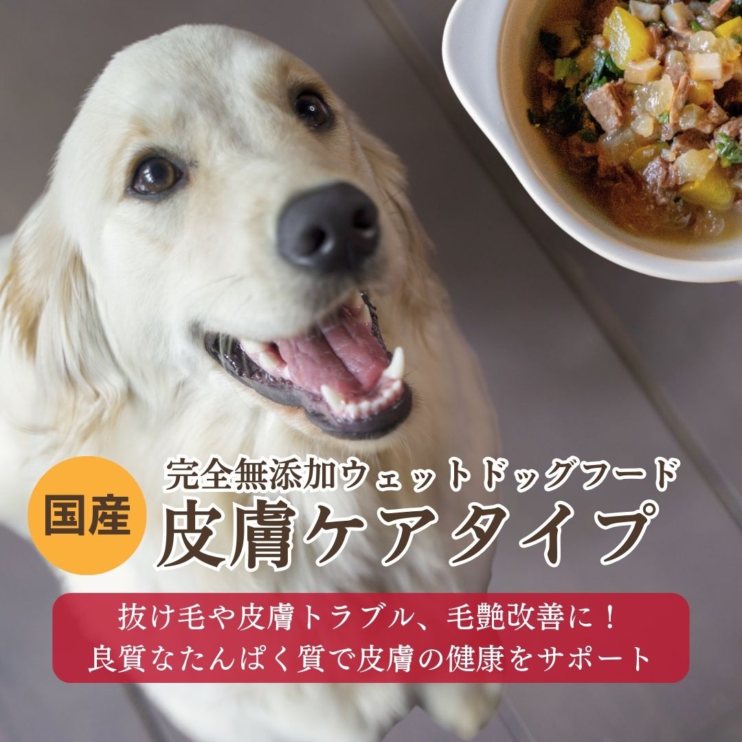 [無添加ウェットドッグフード] 皮膚ケアタイプ  (5パック)