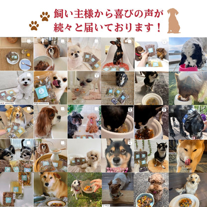 <中型犬用>3種セット