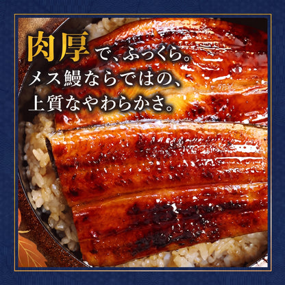 【京都・舞鶴発】浜名湖産うなぎ蒲焼き 特製タレ付き
