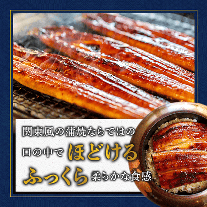 【京都・舞鶴発】浜名湖産うなぎ蒲焼き 特製タレ付き
