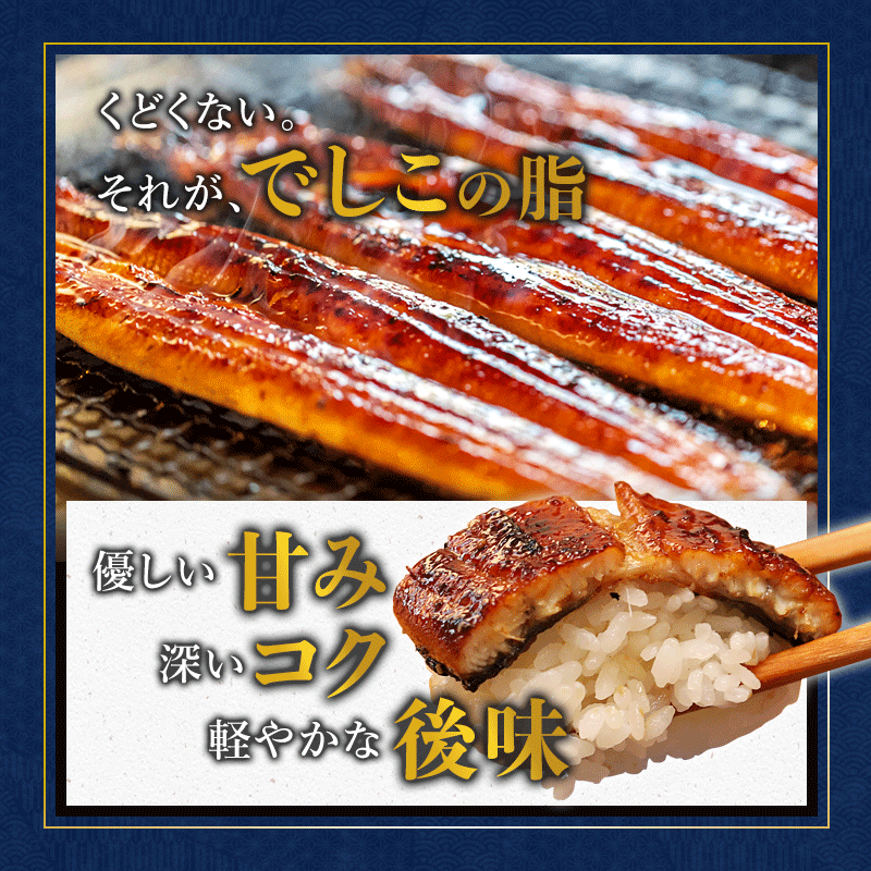 【京都・舞鶴発】浜名湖産うなぎ蒲焼き 特製タレ付き