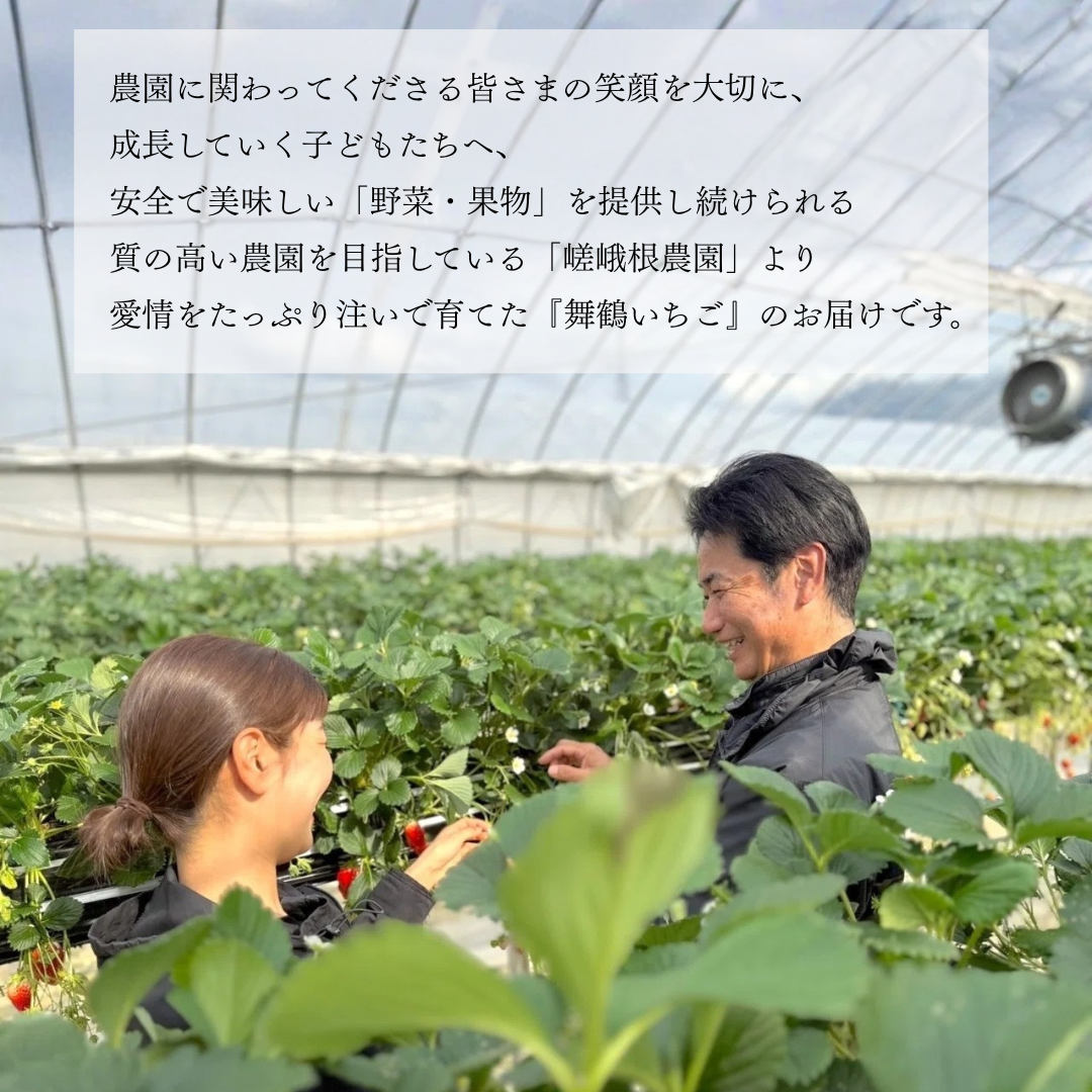舞鶴産 大粒いちご 章姫【1月中旬～3月20日迄発送】嵯峨根農園 産地直送