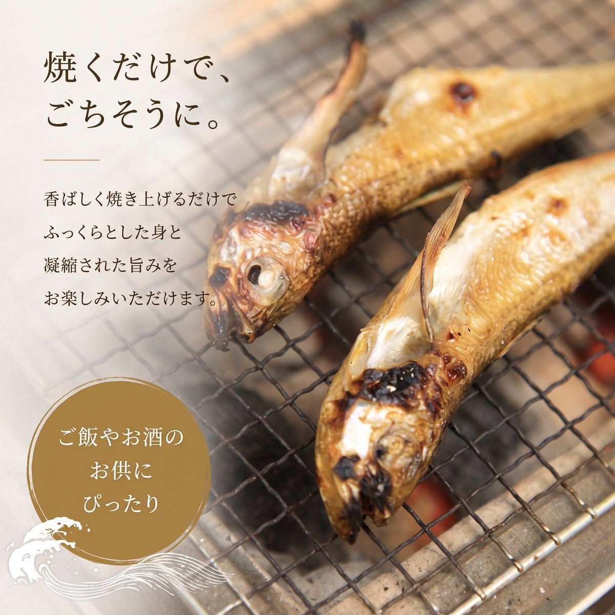 京丹後・橘商店のお任せ干物セット｜エテカレイ・ハタハタ・旬の魚 干物詰め合わせ