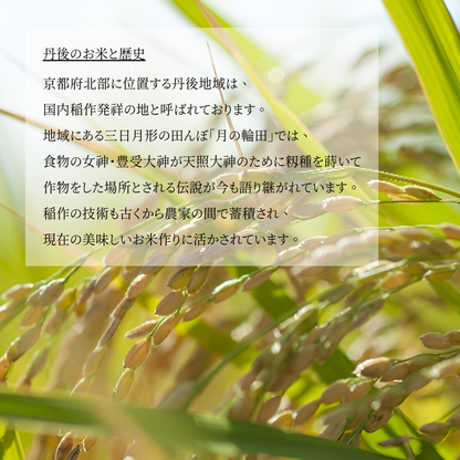【送料無料】新米 令和7年産 京丹後産 ミルキークイーン 5kg｜甘みともっちり食感の低アミロース米