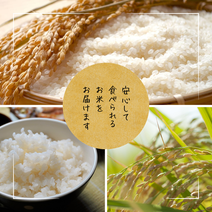 【送料無料】新米 令和7年産 京丹後産 ミルキークイーン 5kg｜甘みともっちり食感の低アミロース米